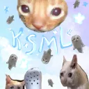 »KSML«