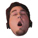 Pelicord