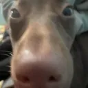 snooty0's server discord icon