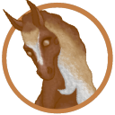 Wild Horse Islands Info Center Discord Server Icon