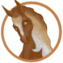 Wild Horse Islands Info Center