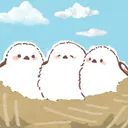 Bird's Nest