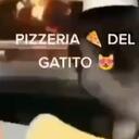     PIZZERIA      DEL GATITO      Discord Server Icon