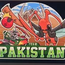Pakistan VGC