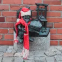 DF Polska