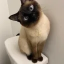 HOLA