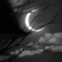 As the Crescent City Sleeps