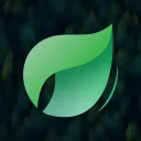 🌿 LeafMC