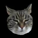 mcmaukissa