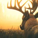 Red Dead Redemption RP/FR