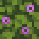 hananoki smp