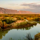 Corn 2.0 Discord server icon