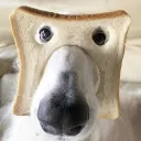 わんわん