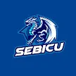Sebicu's server
