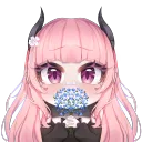 🐱 Sukusie Nori🐱