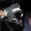 𝐍𝐄𝐀𝐌𝐃𝐈𝐗