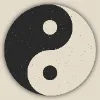 $YIN - Solana