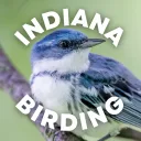 Indiana Birding
