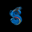 s9eem server