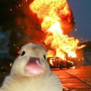 ✧ fam ✧ Discord server icon