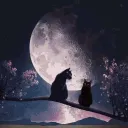 Moon SMP
