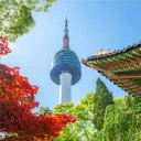 🌸🗼Seoul Roleplay ⟬2025⟭