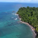 Tropicos