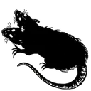 Piqesuwa
