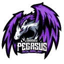 Shadow Pegasus