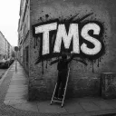 TMS