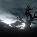 ꒰ᐢ. .ᐢ꒱ star  ᰔ Discord Server Icon