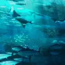 ╭  THALASSA  Discord Server Icon