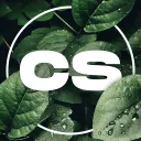 Cexata Stock