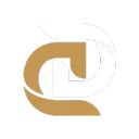 Dynasty Dev Discord Server Icon