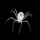 La Araña  Discord Server Icon