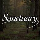 + ̊. Sanctuary ⋆ ̇ Agere   + ̊。⋆ Discord Server Icon