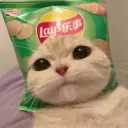 Chơi Ngày Cày Đêm