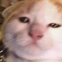 Làng Xì Ke Discord Server Icon
