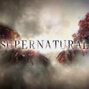 ๑۞๑ SUPERNATURAL ๑۞๑ Discord Server Icon