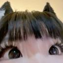 Cats Oasis ; chat ; giveaways ; nitro ; robux ; vc ; social avatar