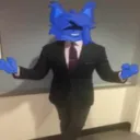 zuzucademy