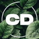 Chill Dungeon Discord Server Icon