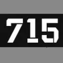 715 Special Purpose Detachment "TEAM"