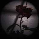 ♱𝔥𝔞𝔲𝔫𝔱𝔢𝔡⛥𝔥𝔬𝔲𝔰𝔢♱'s icon