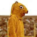 Geriatric Gophers
