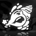 Conch Collective