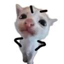 P̾a̾w̾s̾o̾m̾e̾ ̾G̾a̾m̾e̾r̾s̾