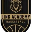 Link Academy 1X NATTY