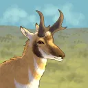  Critter Cabin Discord Server Icon