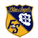 Flight Simulator Blue Angels
